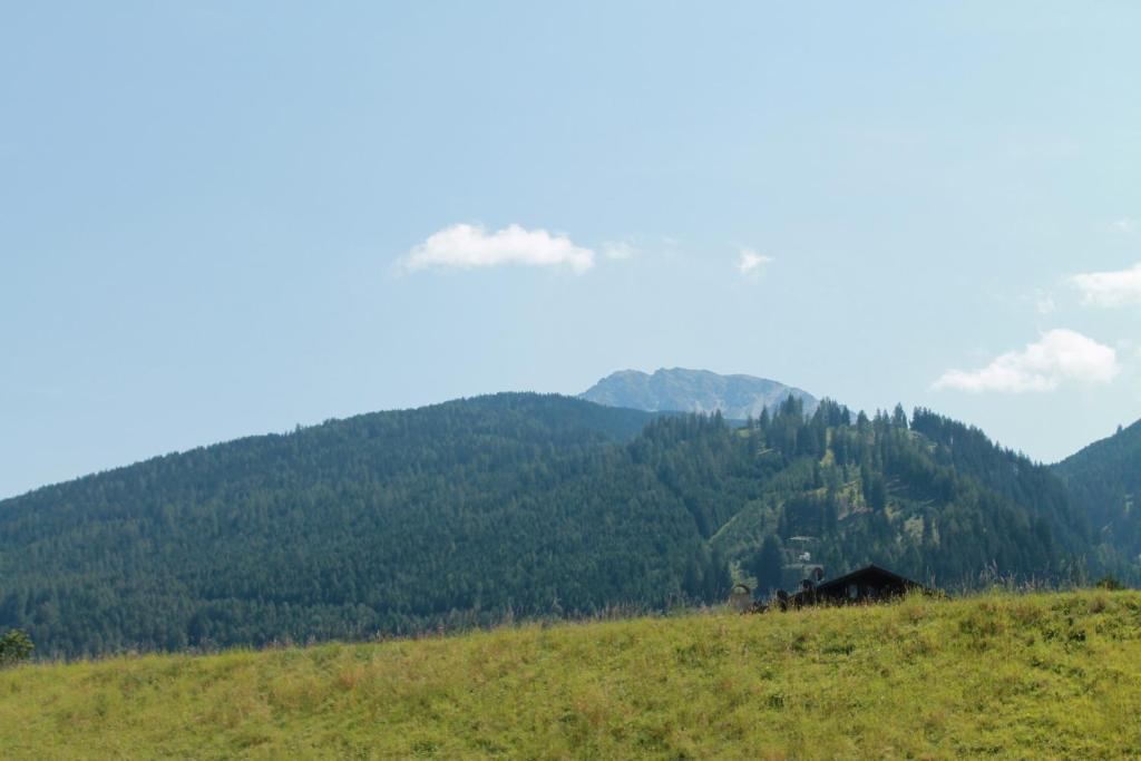 Funerhof Innsbruck Zewnętrze zdjęcie